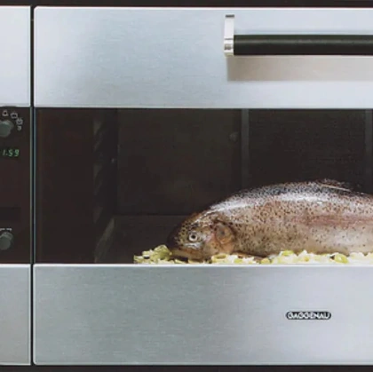 Forno EB 374 di Gaggenau