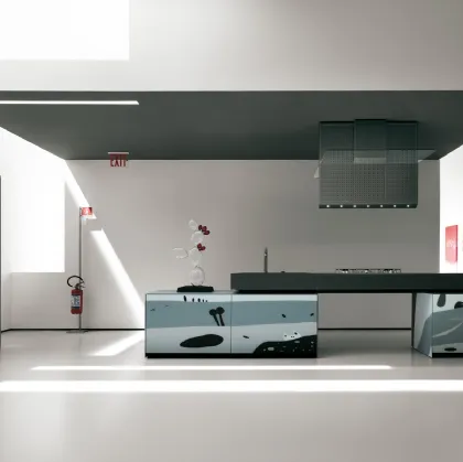 Cucina Design con disegni ad intarsio realizzati su vetro Artematica Vitrum Arte Natura Bianco e Nera di Valcucine