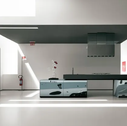 Cucina Design con disegni ad intarsio realizzati su vetro Artematica Vitrum Arte Natura bianco e nera di Valcucine